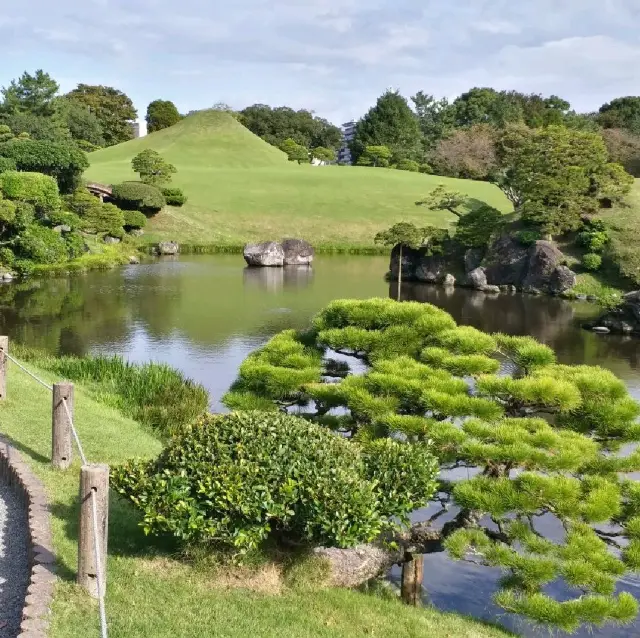 綠悠悠的公園🌳🌳🌳