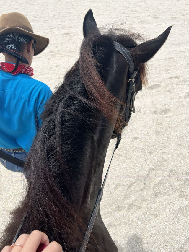 Horse Riding at Samila Beach Hatyai! 