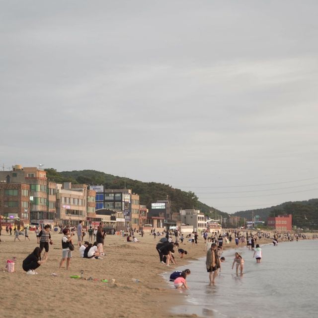 서울인근 3가지 섬을 다 즐길 수 있는 곳!