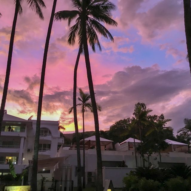 호주 퀸즐랜드 야자수 해변, 팜코브🏝의 선셋✨