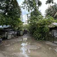 Singapore’s last mainland village