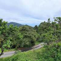 Tropical Fruit Farm