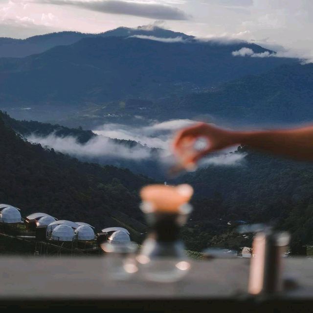 ภูดอย