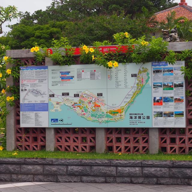 沖繩地標⚠️海洋博公園✅了解沖繩海洋歷史🔱