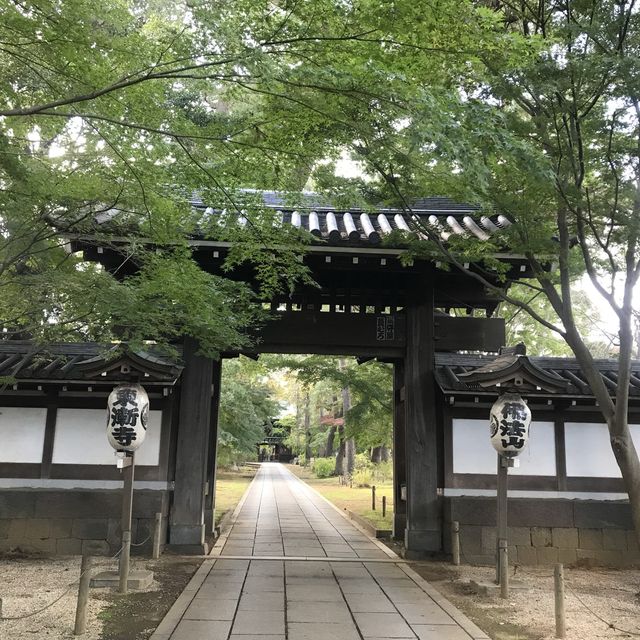 ชมใบไม้เปลี่ยนสีที่วัดtozenji🍁🍁🍁