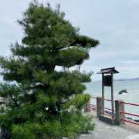 【三重県】夫婦岩のある二見興玉神社を参拝！