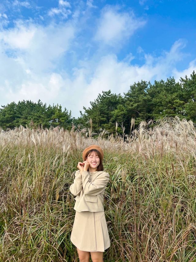 제주 가을감성 가득한 곳, ‘산굼부리’