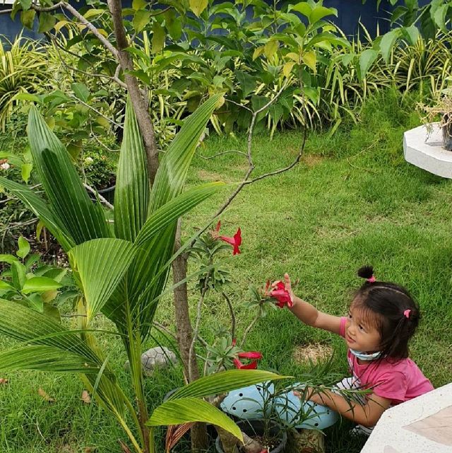 🏝ทานข้าว🥧ขนมเค้ก🍰 เครื่องดื่ม☕บรรยากาศร่องสวน
