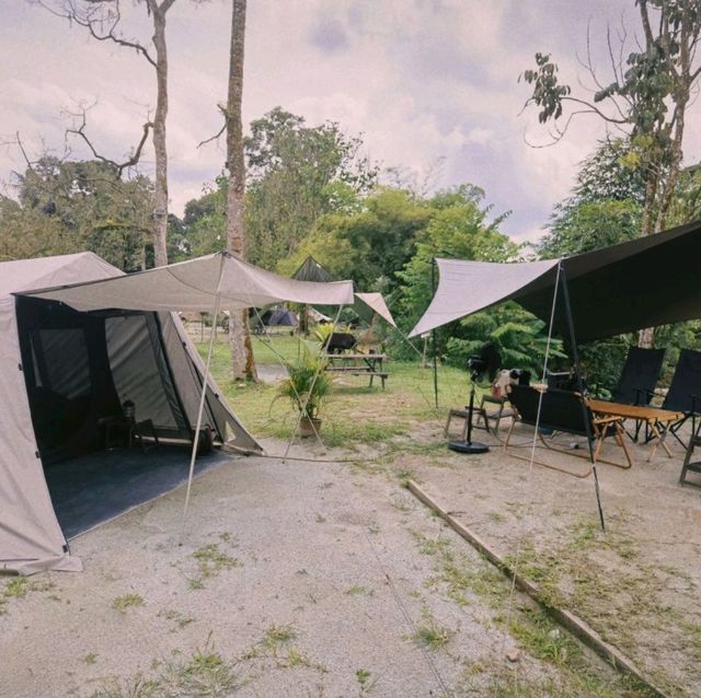 Glamping by the Riverside