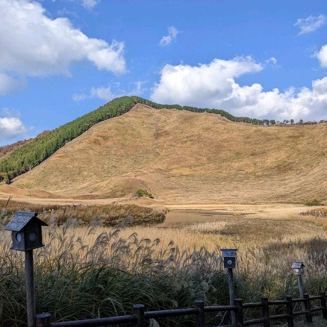 曽爾高原