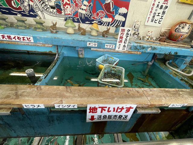 【熊本】元祖！屋形船🛳