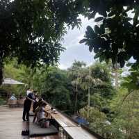 three monkey restaurant