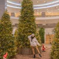 🎄부산에서 크리스마스에 진심인 백화점 [부산, 롯데백화점 서면점]