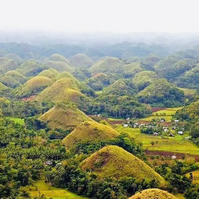 CHOCOLATE HILLS BOHOL