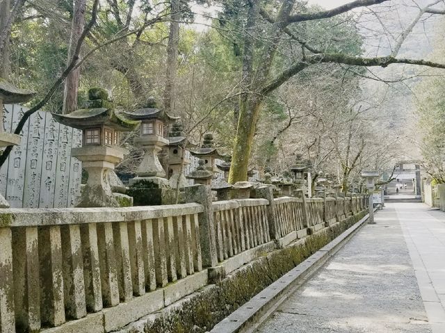 四國必遊 日本人一生一定要到一次的金刀比羅宮