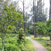 Natural Park in the Northeast of SG 
