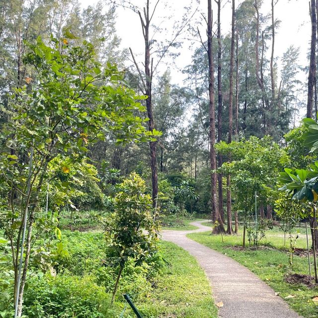 Natural Park in the Northeast of SG 