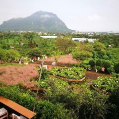 Manor Blanc User Photo