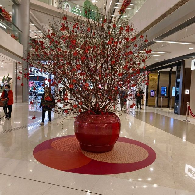 迎春接福 , 財神喜臨門！超喜慶！