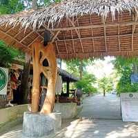 The Jungle Club

