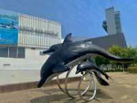 [🇰🇷, 거제] 거제 씨월드 벨루가 수중공연 🐋