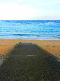 世界自然遺産　奄美大島へ