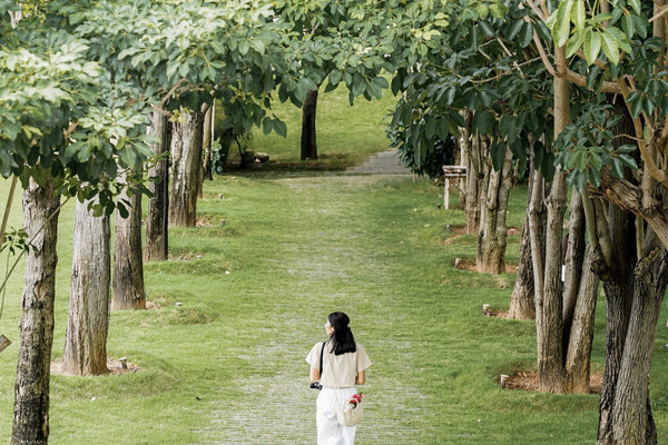 🌳🍃คาเฟ่ริมน้ำบรรยากาศดีที่เมืองกาญ | Trip.com จังหวัดกาญจนบุรี
