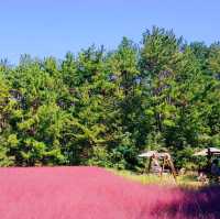 ์ธ์ฐ ํํฌ๋ฎฌ๋ฆฌ ๋ช
์ '์ธ์ฐ๋๊ณต์'