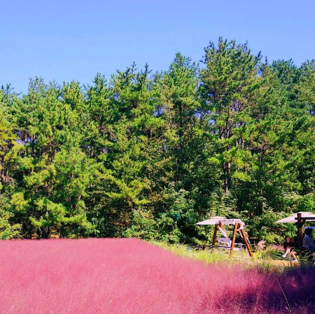 ์ธ์ฐ ํํฌ๋ฎฌ๋ฆฌ ๋ช
์ '์ธ์ฐ๋๊ณต์' ์ธ์ฐ ํํฌ๋ฎฌ๋ฆฌ ๋ช
์ '์ธ์ฐ๋๊ณต์'