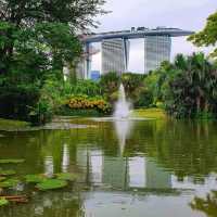 kingfisher Wetlands at Garden By The Bay