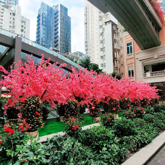新年好去處 ～ 灣仔利東街 