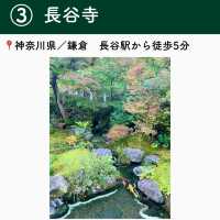 【神奈川】行ってよかった鎌倉の観光地６選