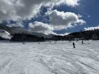 【学生におすすめ】北志賀小丸山スキー場