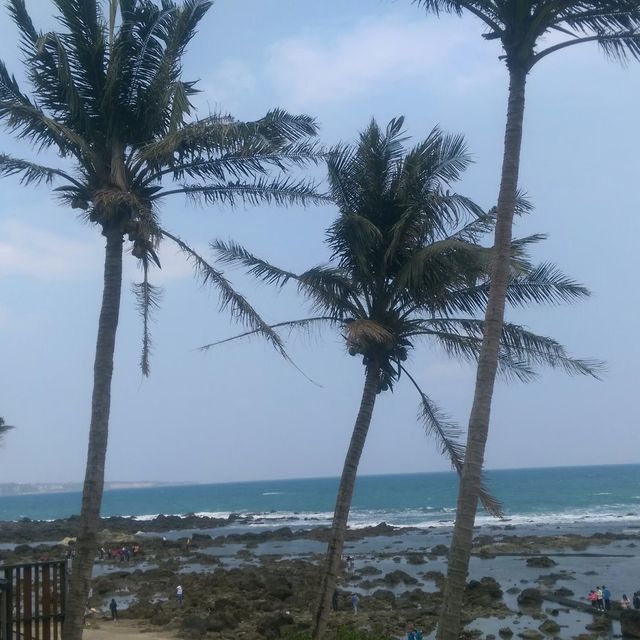 台東小魚兒的家