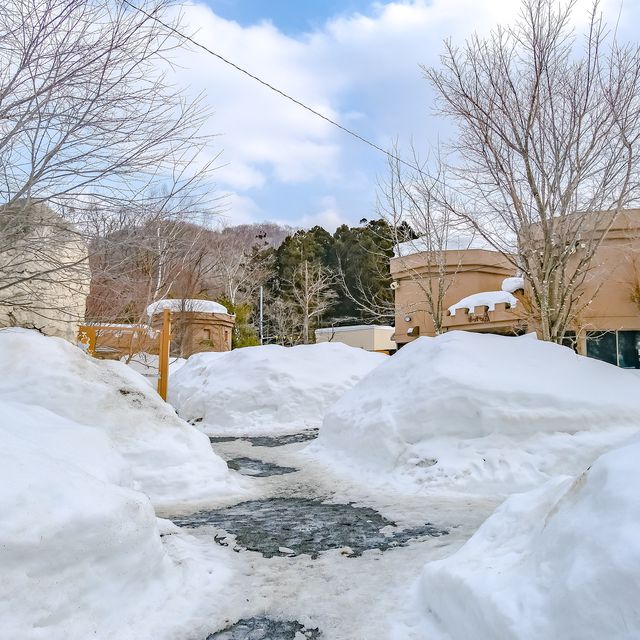 冬の円山動物園・こども動物園