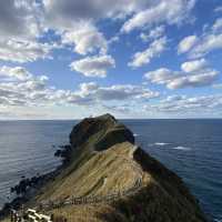 【北海道】海と山が絶景の神威岬