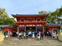京都　SAKURA 桜めぐり❗️八坂神社の桜に感動❗️
