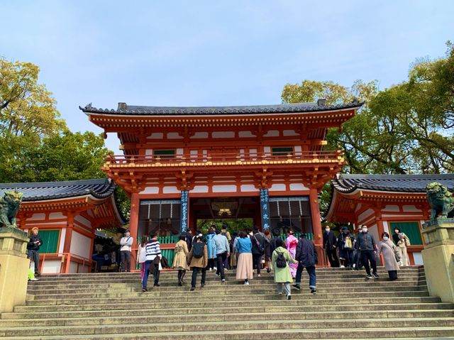 京都　SAKURA 桜めぐり❗️八坂神社の桜に感動❗️