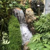 熱帶植物展覽館