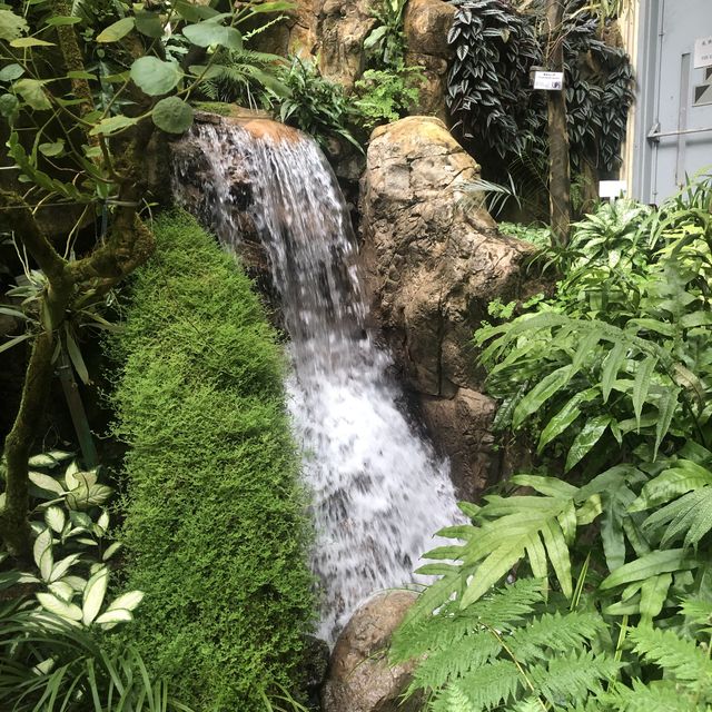 熱帶植物展覽館