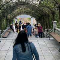 Europe in Danang