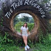 พักกาย พักใจ @The tree riverside