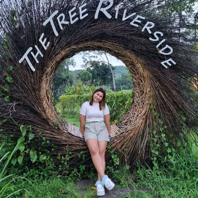 พักกาย พักใจ @The tree riverside
