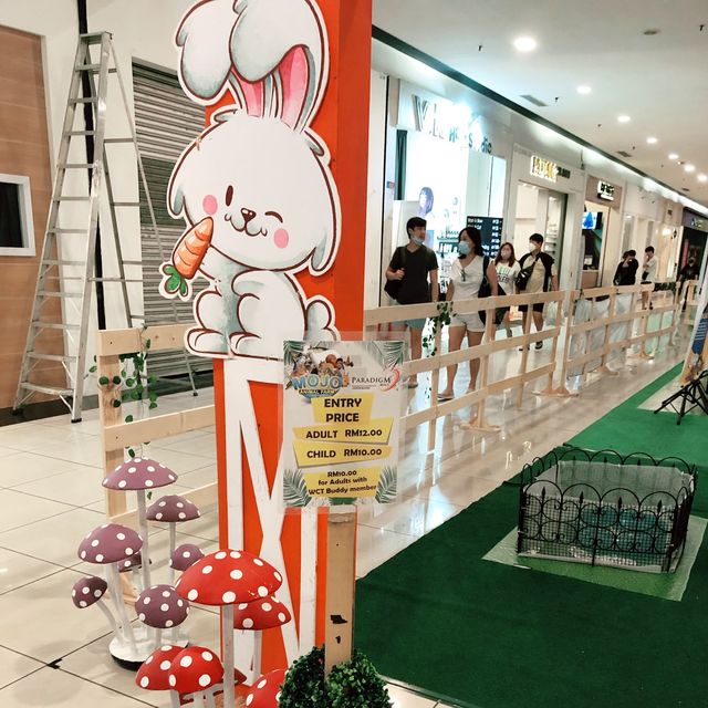 Cutie Animals @ Mojo Mini Farm Roadshow