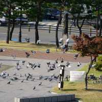 Suwon Fortress 
