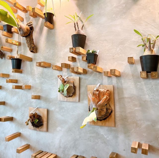 【大阪！個性お洒落カフェ現る!!】in高槻市