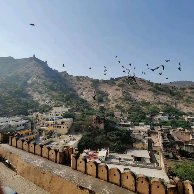 Another day at the Magnificent Amer Fort 