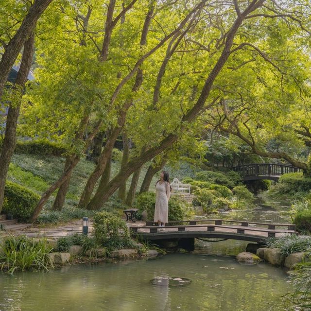 💚초록색빛 가득한 외국느낌의 아름다운 정원 [경주, 엑스포대공원 비밀의정원]