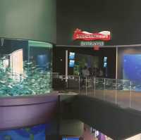 多倫多水族館