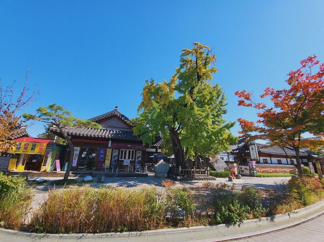 가을 맞이가 한창인 🍁 전주 한옥마을 가을 맞이가 한창인 🍁 전주 한옥마을